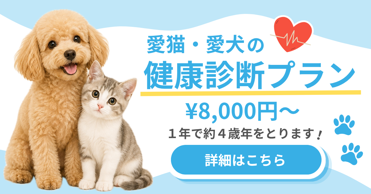 愛猫・愛犬の健康診断プラン 8,000円～ 詳細はこちら